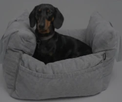 Vind 2.500 kr. til Luksushund